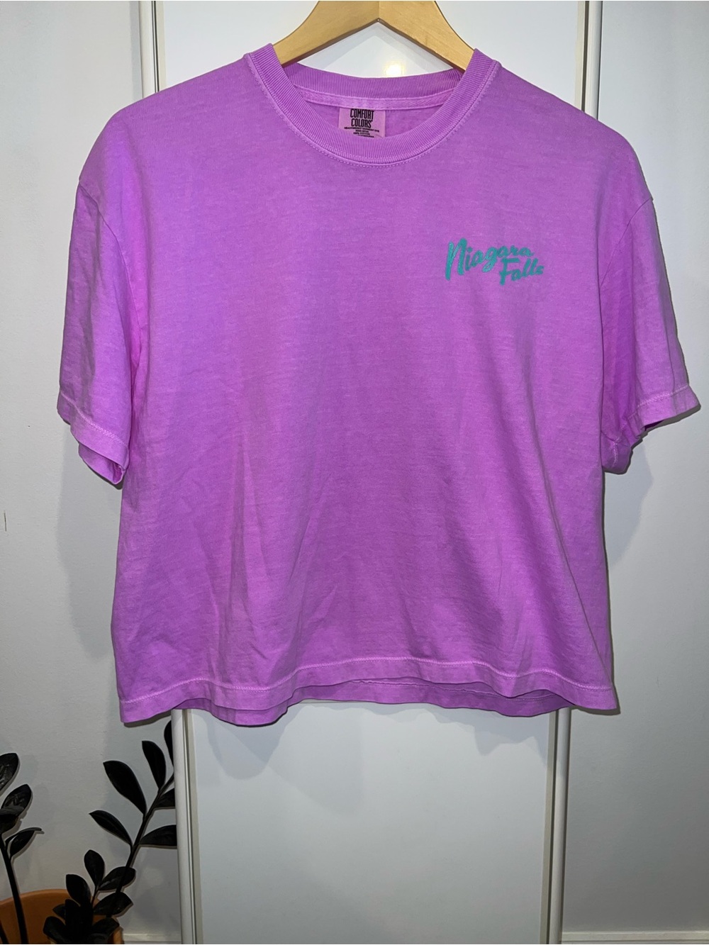 Niagra Falls Trashy Tourist Tee